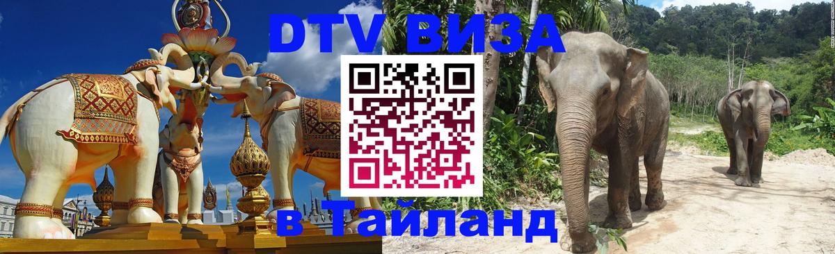 Стоимость и условия DTV визы — оформление в Таиланд под ключ - Вологда  03.10.2025 